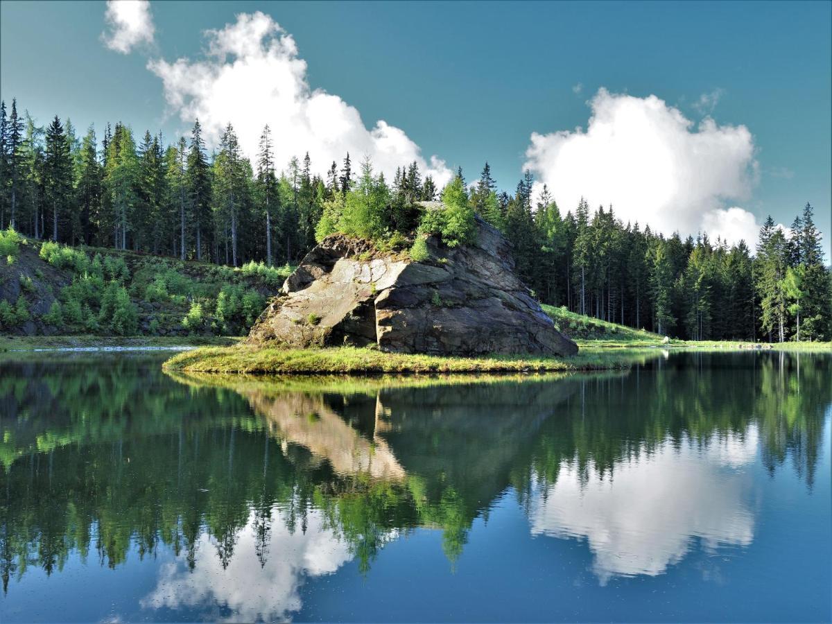 Naturforsthaus Gartenblick Fuer Hunde - Und Naturverbundene Menschen Preitenegg Zewnętrze zdjęcie