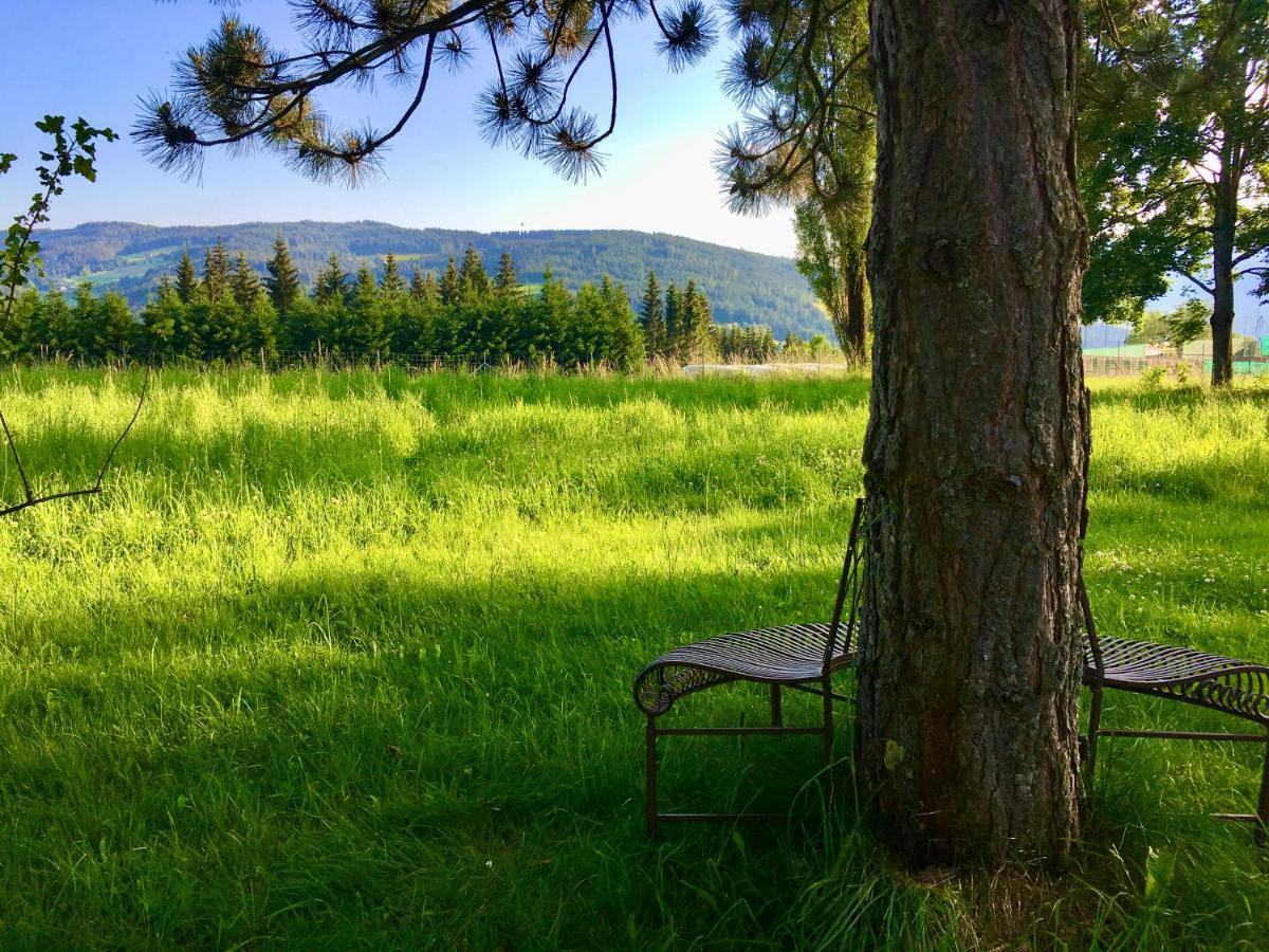Naturforsthaus Gartenblick Fuer Hunde - Und Naturverbundene Menschen Preitenegg Zewnętrze zdjęcie