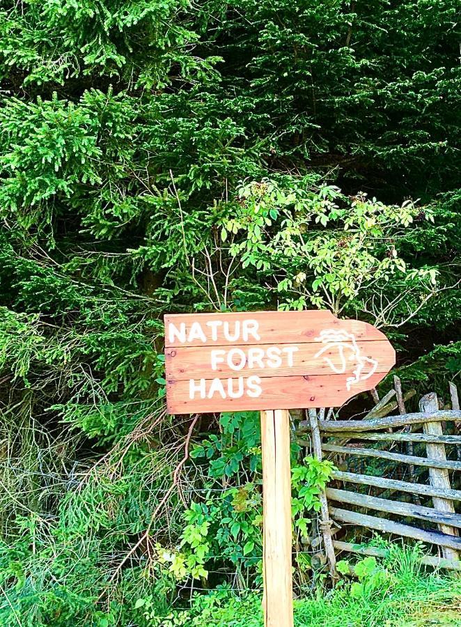 Naturforsthaus Gartenblick Fuer Hunde - Und Naturverbundene Menschen Preitenegg Zewnętrze zdjęcie