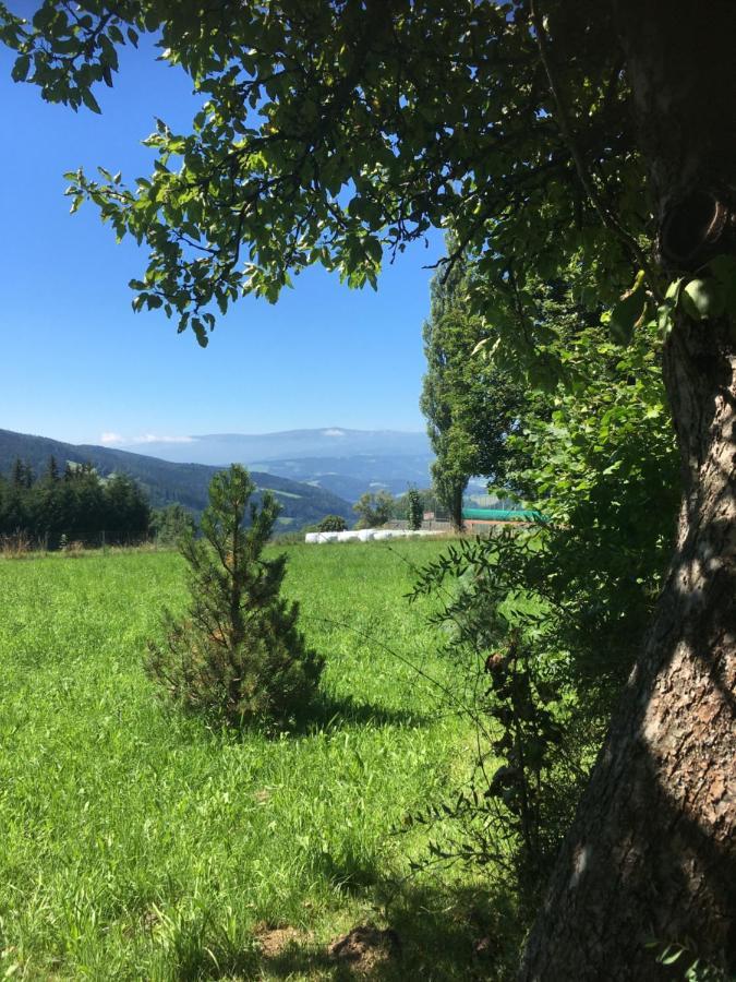 Naturforsthaus Gartenblick Fuer Hunde - Und Naturverbundene Menschen Preitenegg Zewnętrze zdjęcie