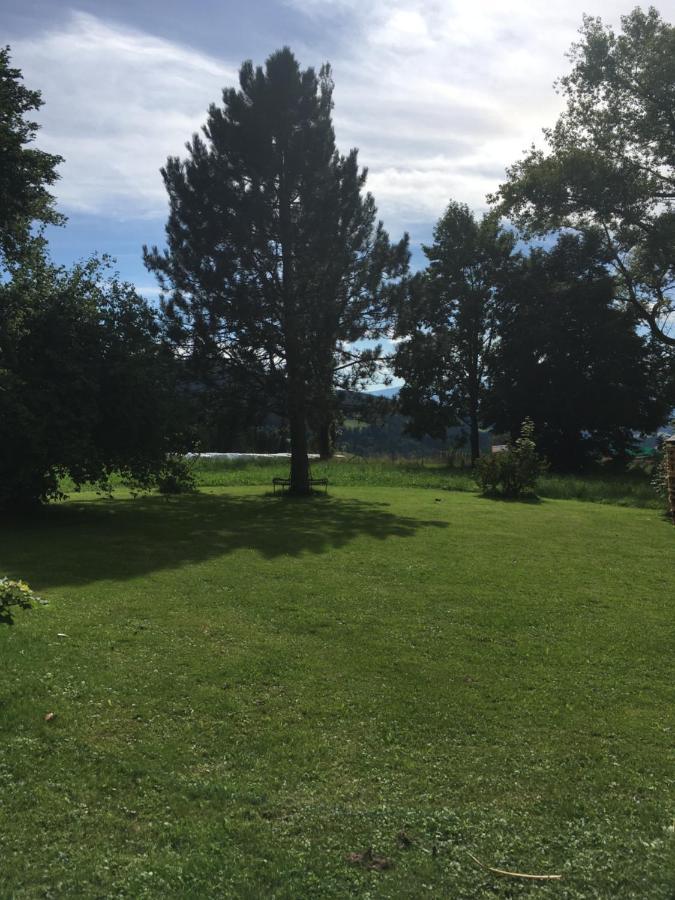 Naturforsthaus Gartenblick Fuer Hunde - Und Naturverbundene Menschen Preitenegg Zewnętrze zdjęcie
