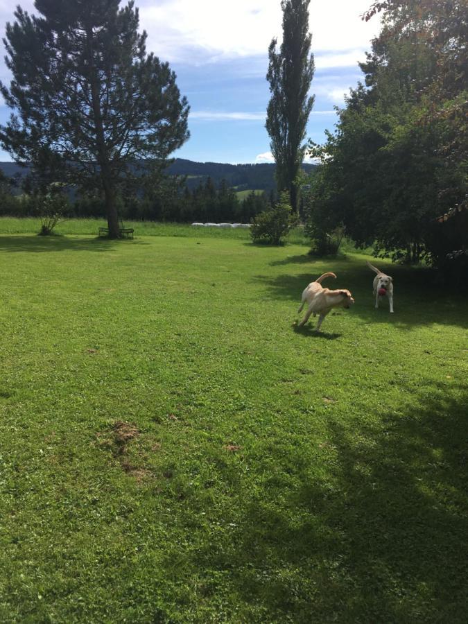 Naturforsthaus Gartenblick Fuer Hunde - Und Naturverbundene Menschen Preitenegg Zewnętrze zdjęcie