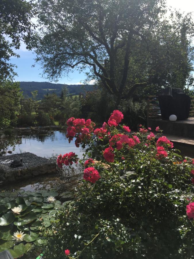 Naturforsthaus Gartenblick Fuer Hunde - Und Naturverbundene Menschen Preitenegg Zewnętrze zdjęcie