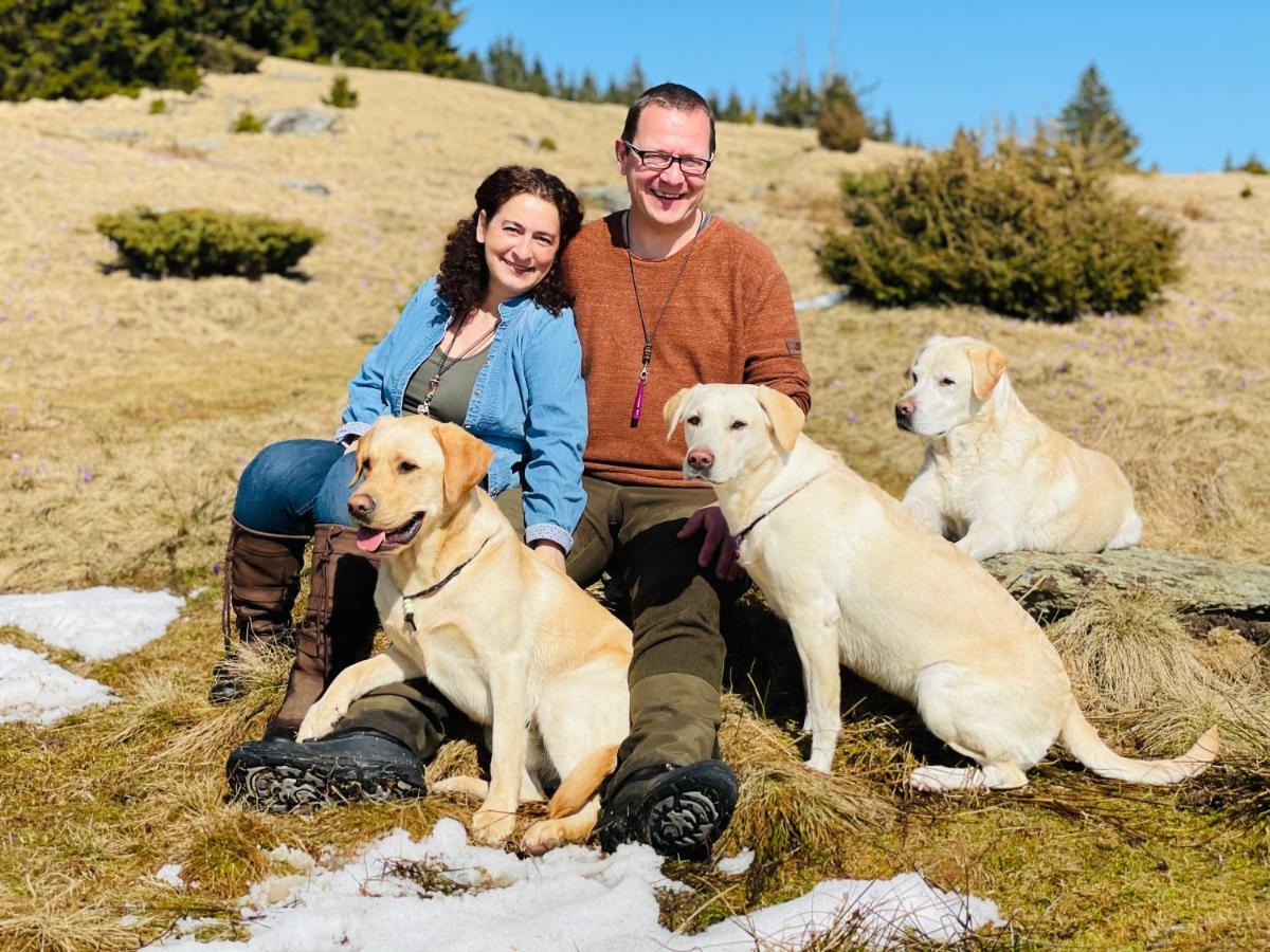 Naturforsthaus Gartenblick Fuer Hunde - Und Naturverbundene Menschen Preitenegg Zewnętrze zdjęcie